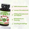 Leuzea Max Maral Root 60 Tablets x 200 mg Natural