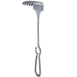Israel Retractor, Blunt, 4 Prong, 40mm×40mm, 25cm/10"