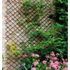 GLANT Lattice Fence Willow Expandable Plant Climbing Lattices Trellis Fence,Open
