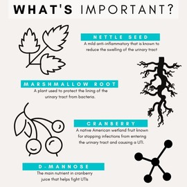 ペッツパーク 犬用 腎臓サプリメント ユリナリー＋キドニー