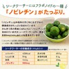 万象堂 シークワーサー パウダー 粉末 30g×2袋 沖縄県産 ノビレチン
