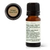 Plant Therapy Ginger Root CO2 Essential Oil 100% Pure, Undiluted,