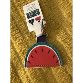 ALDI Keychain Quarter Holder Keeper - Watermelon - 2025 New - ALDI Gear