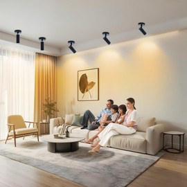 JARLSTAR LED Ceiling Spotlight 3000K (Warm White 2Pack 12W No Dimmable,Spot Lights Black with 360° Pivoting Fixture, Adjustable Directional Indoor Spot Light,Tilt Angle Accent Lighting, 24°Beam Angle