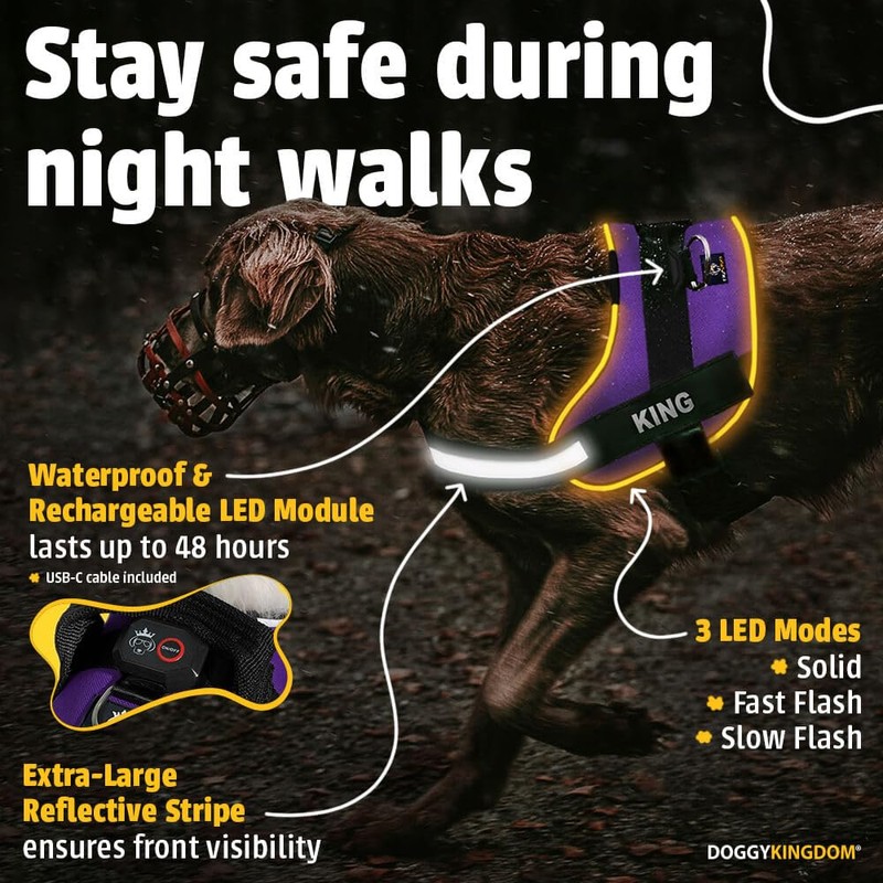 DOGGYKINGDOM Light Up Dog Harness, Custom No Pull LED Dog