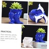 Operitacx 1pair Dolphin Planter Pen Holder Unique Pot for Cactus