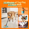 FOXMM Interactive Dog Toys – Suction Cup Tug of War