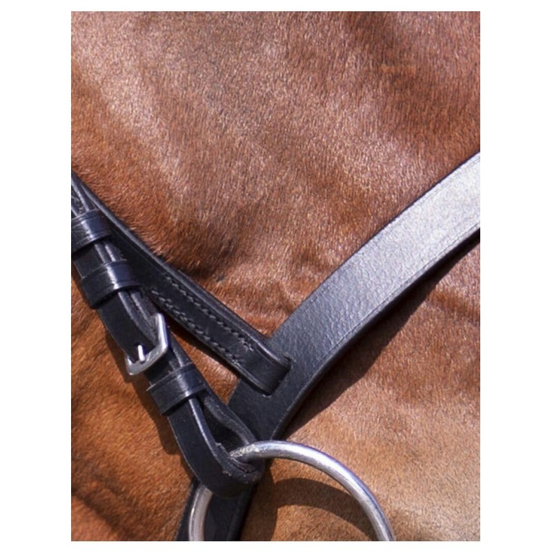Riding World Bridle Bridle French Black Horse