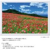 108 Piece Jigsaw Puzzle Poppy in the Sky Chichibu Kogen