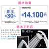 GAONA Koreeyan Shower Head, Water Saving, Ultra Fine (Shower Hole