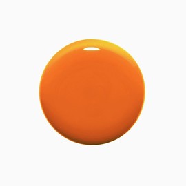 L'oreal Paris Color Riche Huile NailPolish - 443 L'Orangerie