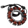 Caltric Stator Magneto for Harley Davidson Night Train FXSTB /