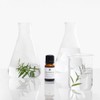 Benton tea tree oil 100% undiluted solution 10mL / 벤튼