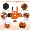 DENTRUN Dog Life Jacket for Large Dogs, Ripstop Adjustable Swim