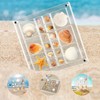 Artlunar 18 Grids Square Clear Acrylic Shadow Boxes Mini Seashell
