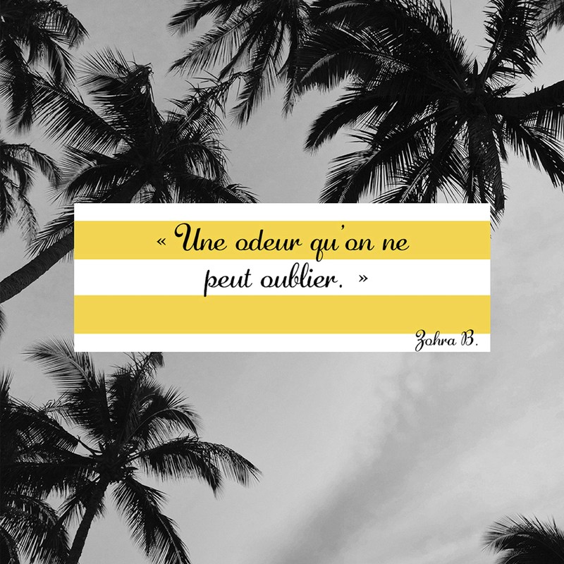 GIORGIO BEVERLY HILLS 2 PCS SET: 3 OZ SP