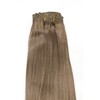 WIG ME UP - EX03-GGO-14 Clip-In Hair Extensions Full Head