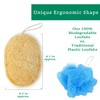 Natural Loofah Exfoliating Sponge (3 Pack) - Organic Body Scrubber