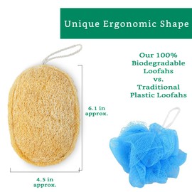 Natural Loofah Exfoliating Sponge (3 Pack) - Organic Body Scrubber - Biodegradable Shower Luffa
