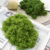 Muschio Finto per Decorazioni 100g, Muschio Stabilizzato Nylon, Artificiale Muschio