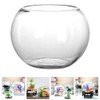 GANAZONO Glass Bowl and Vase - Clear Terrarium Globe for