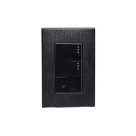 iGoto PS412-GR Placa con 2 apagadores sencillos y contacto 2P+T de 1 módulo (Grafito)