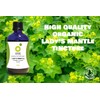 Organic Herbal Remedies Lady's Mantle Tincture, 100ml