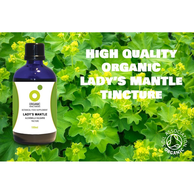 Organic Herbal Remedies Lady's Mantle Tincture, 100ml