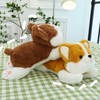 champracer Corgi Plush Toy Shiba Inu Plush Toy Corgi Dog