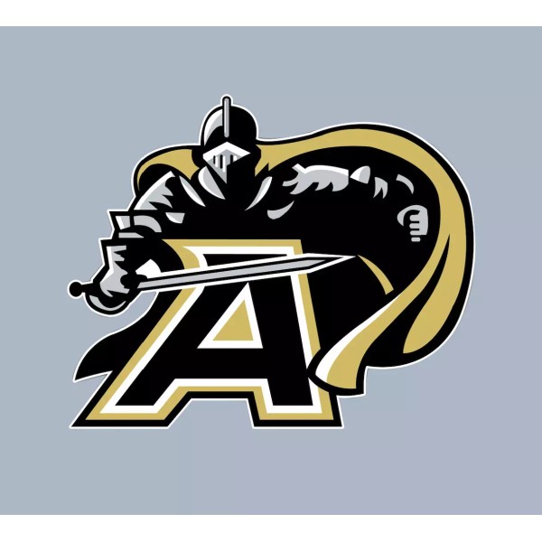 Car Magnet - West Point Army Black Knights - College