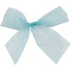 Organdy Ribbon - Robin's Egg Blue (3")