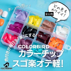 COLORBIRD Nail Tip, Short, 12 Colors, 288 Pieces, Black, Pink, Blue, Sea, Pool, Nail Tip, Simple, Stylish (Round S Glossy)