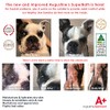 Augustine Approved SuperBath for Healthy Coat for Dogs Cats Pets