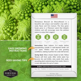 Survival Garden Seeds - Romanesco Broccoli for Planting - 5 Packs with Instructions to Plant and Grow Delicious & Beautiful Fractal Broccoli Heads Your Home Vegetable Garden - Non-GMO Heirloom Variety