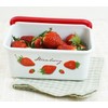Fuji Hollow Strawberry Deep Square Container, M 0.4 gal (1.1
