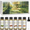 Woody Essential Oils Set – 5 x 10ml Pure Oils