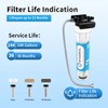 WINGSOL Jumbo Under Sink Water Filter Replacement, 5-in-1, Long-lasting, Reduces