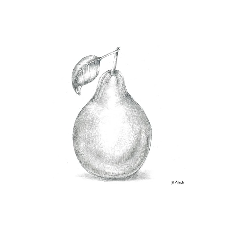 Derwent - Lápices gráficos, 12 unidades, Gris, Mediano