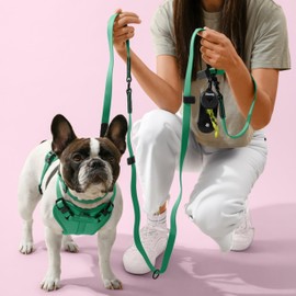THE LICKER STORE HNS1000K Arlo Extra Small Adjustable Soft Padded No Pull Pet Harness with 3 Buckles and 3 Leash Clips, Julep