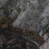 Spare Key Hider Rock - Easily Hide a Key Outside