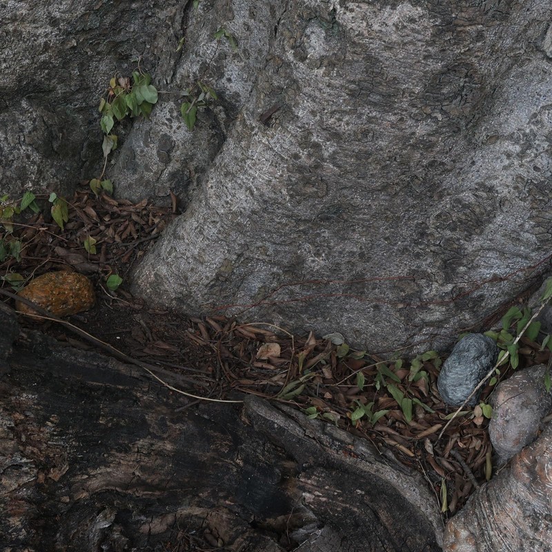 Spare Key Hider Rock - Easily Hide a Key Outside