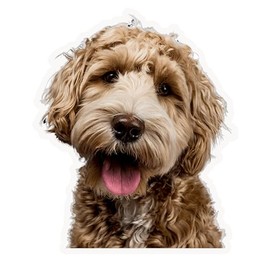 Goldendoodle Dog Wall Decal Sticker, Decorative Pet Portrait,Auto, Wall, Laptop, Cell, Truck Sticker for Windows, Cars, Trucks