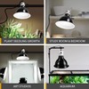 Simple Deluxe 50W Reptile Ceramic Heat Bulb No Light Emitting