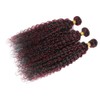 Luxvogue 12 14 16 inch Burgundy P1B/99J Jerry Curly Human