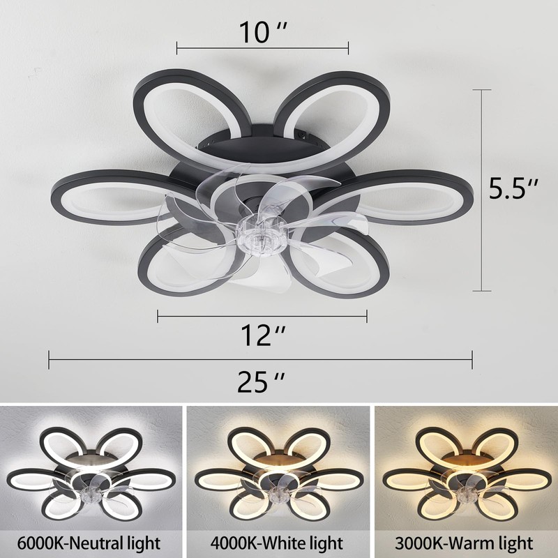 Black-Star ring Ceiling Fans with Lights and Remote, 27 Inch