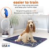 PetBeat Washable Pee Pads for Dogs 2 Pack + Gift
