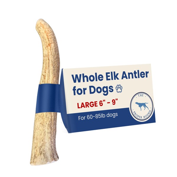 The Proper Hound Antler Dog Chew - Premium Elk Antlers