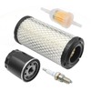 Vkinman 28463-G01 Golf Cart Air Filter with Spark Plug Tune