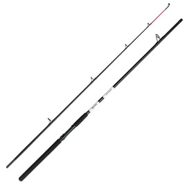 DAM Aqua-X Allround 2.40 m 100-200 g