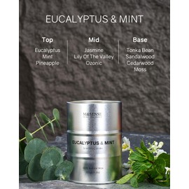 M&SENSE Scented Candle, Eucalyptus Mint Medium Jar Candle for Men, 60 Hours Slow Burning Natural Soy Candles 11.3oz, Stress Relief Aromatherapy Candles Home Decor, Valentines Day Gifts for Him